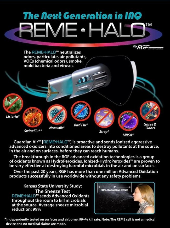 Reme Halo flyer